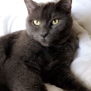 Meet your Posher, Kandi